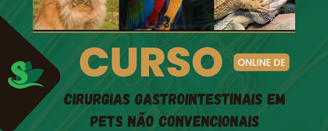 Cirurgias Gastrointestinais em Pets não Convencionais