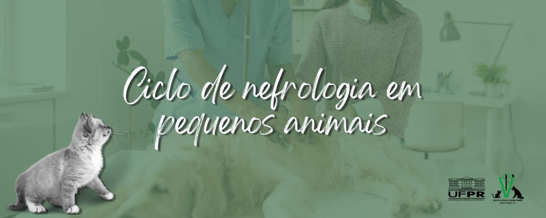 Ciclo de nefrologia em pequenos animais
