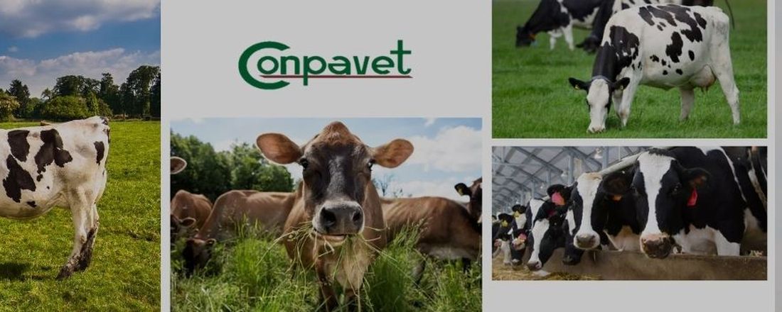 Estratégias nutricionais e manejo de bovinos leiteiros