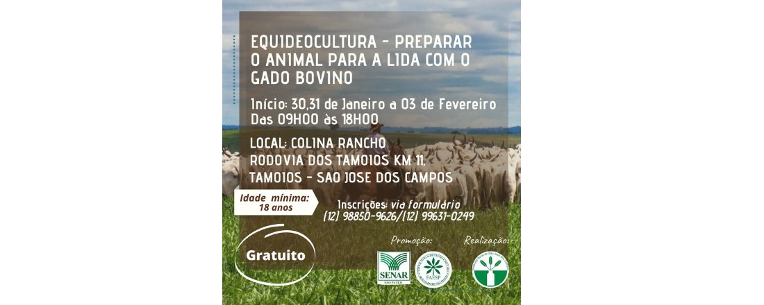 EQUIDEOCULTURA – PREPARAR O ANIMAL PARA A LIDA COM GADO BOVINO