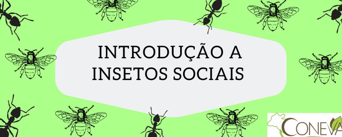 Curso de Introdução a insetos sociais