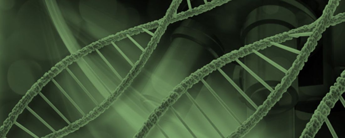 I Encontro Brasileiro de Biomedicina On-line