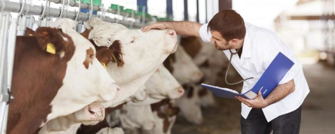 A Importância da Anatomia na Medicina Veterinária