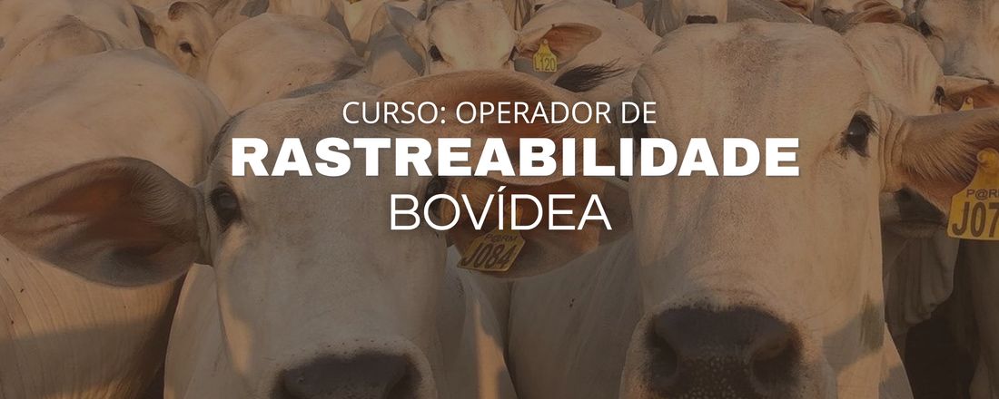 Curso: Operador de rastreabilidade bovídea