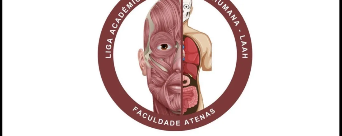 Aula introdutória + processo seletivo: ''Noções anatômicas e introdução à ortopedia"