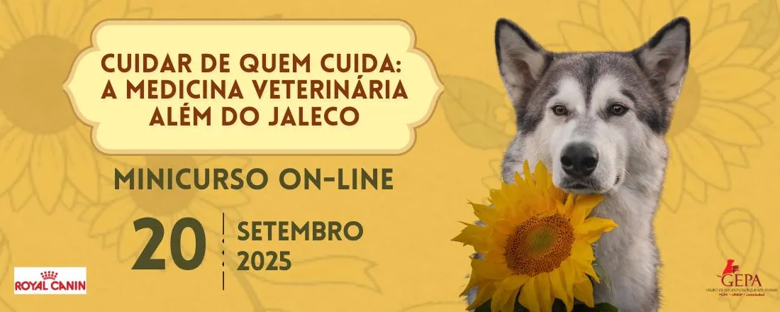 Cuidar de Quem Cuida - A Medicina Veterinária Além do Jaleco