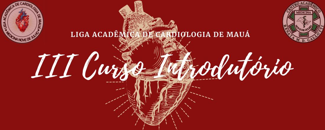 III Curso Introdutório