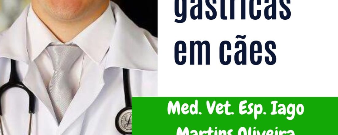 Neoplasias gástricas em cães