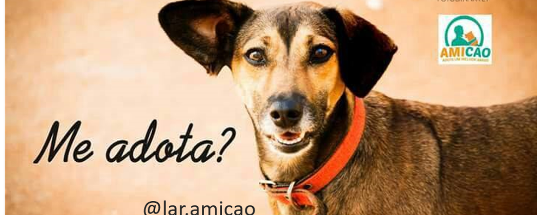 VISITA TÉCNICA LAR AMICÃO