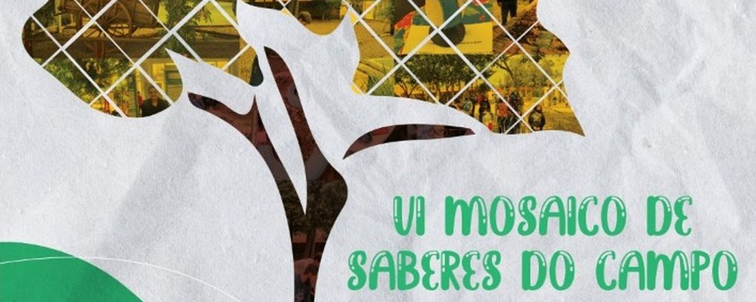 VI Mosaico de Saberes do Campo e II Intercâmbio Pedagógico entre Países do Mercosul