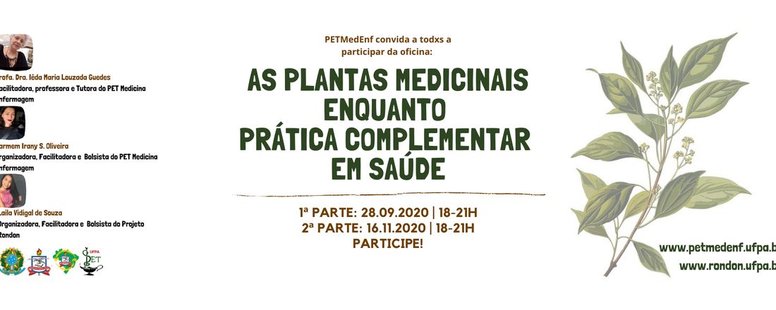 As Plantas Medicinais Enquanto Prática Complementar em Saúde