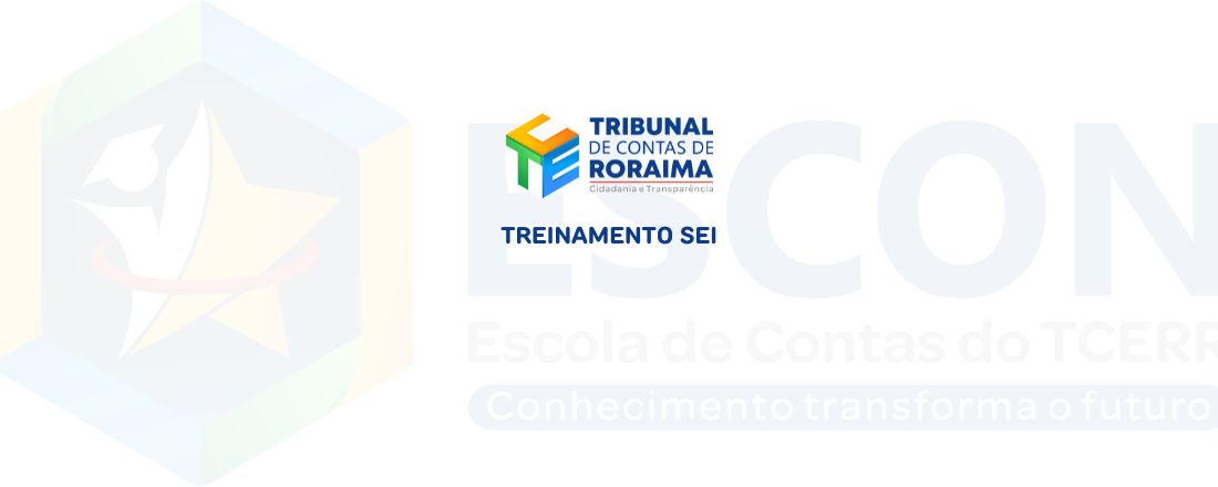 Treinamento SEI