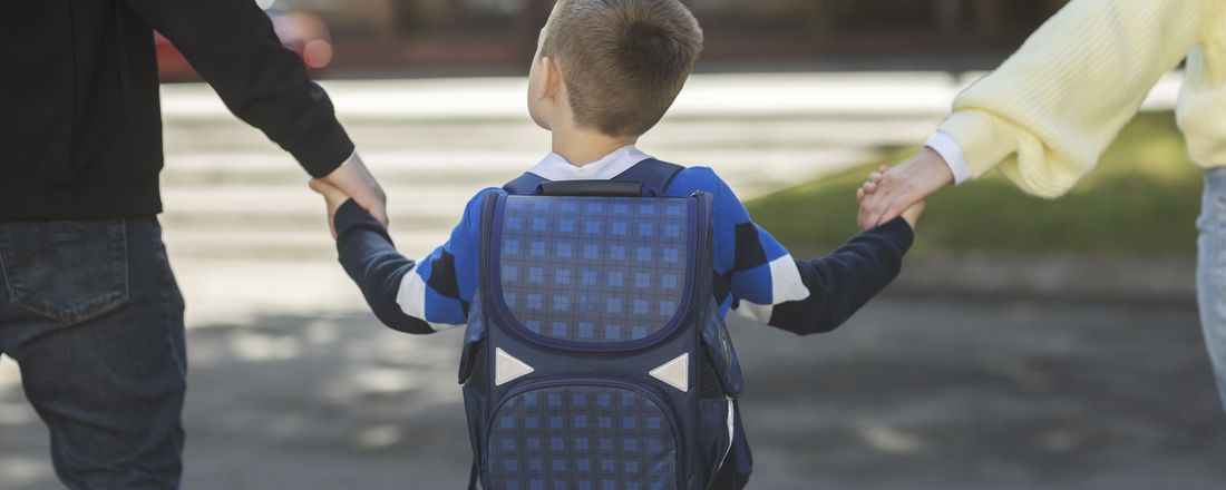 Segurança nas Escolas