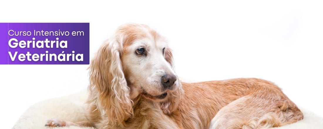 CURSO INTENSIVO EM GERIATRIA VETERINÁRIA