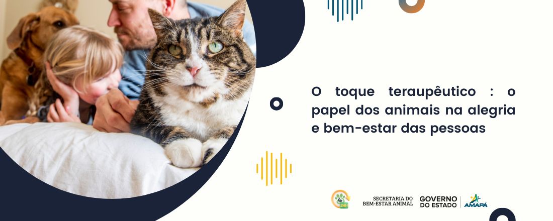 O toque teraupêutico : o papel dos animais na alegria e bem-estar das pessoas