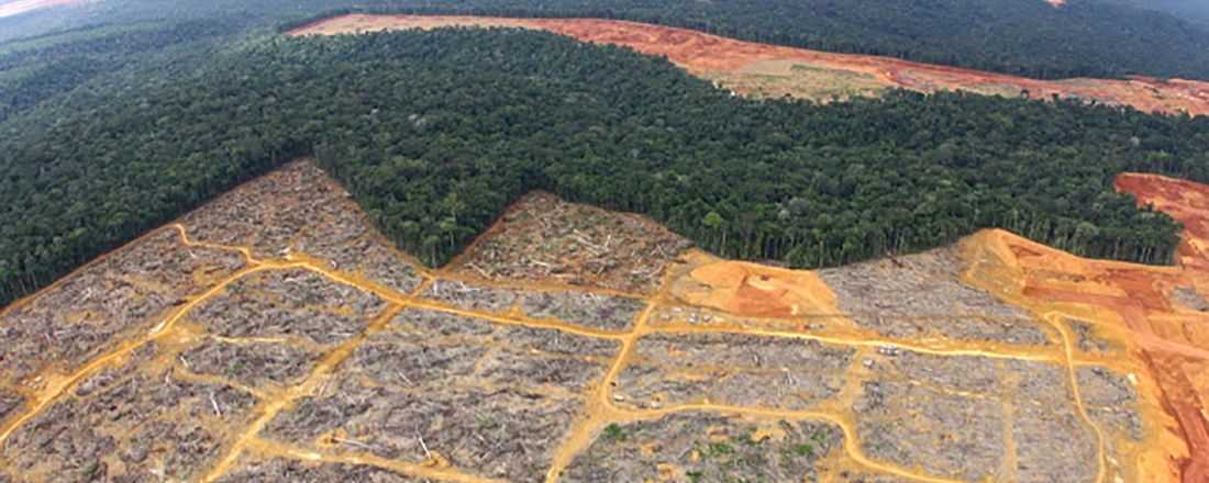 A condição colonial da Amazônia