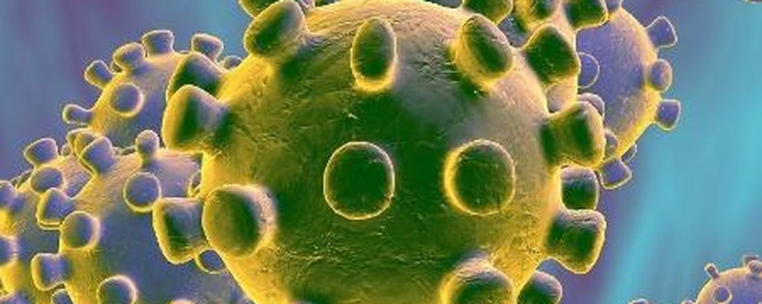 SARS-CoV-2: aspectos virais  e de diagnóstico laboratorial