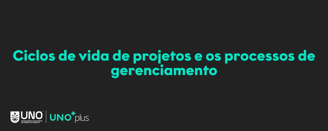 Ciclos de vida de projetos e os processos de gerenciamento - 20 horas