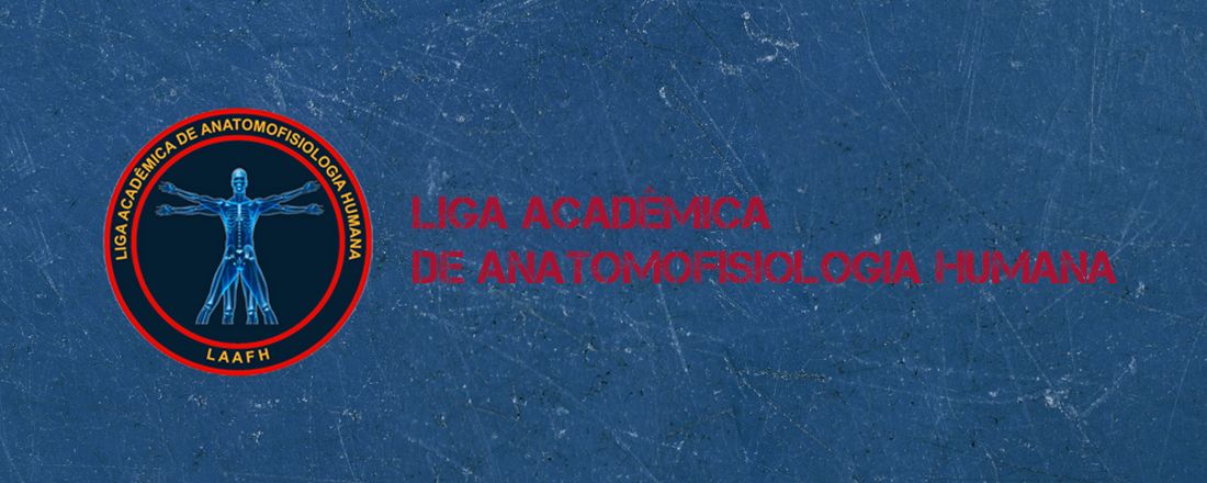 CONSIDERAÇÕES ANATÔMICAS REFERENTES ÀS LESÕES DO COMPLEXO MAXILOMANDIBULAR