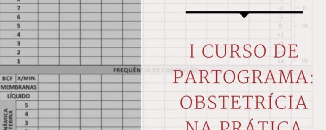 I Curso de Partograma