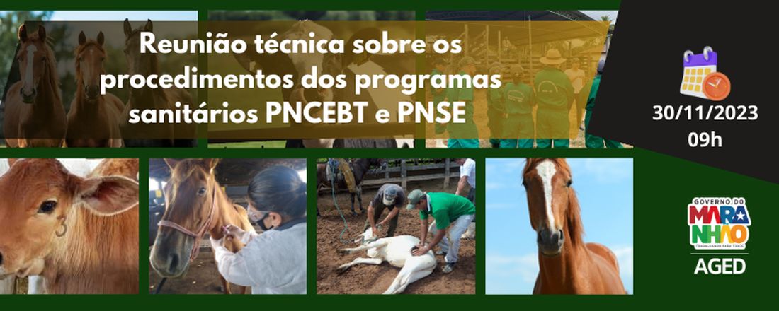 REUNIÃO TÉCNICA SOBRE OS PROCEDIMENTOS DOS PROGRAMAS SANITÁRIOS PNCEBT E PNSE