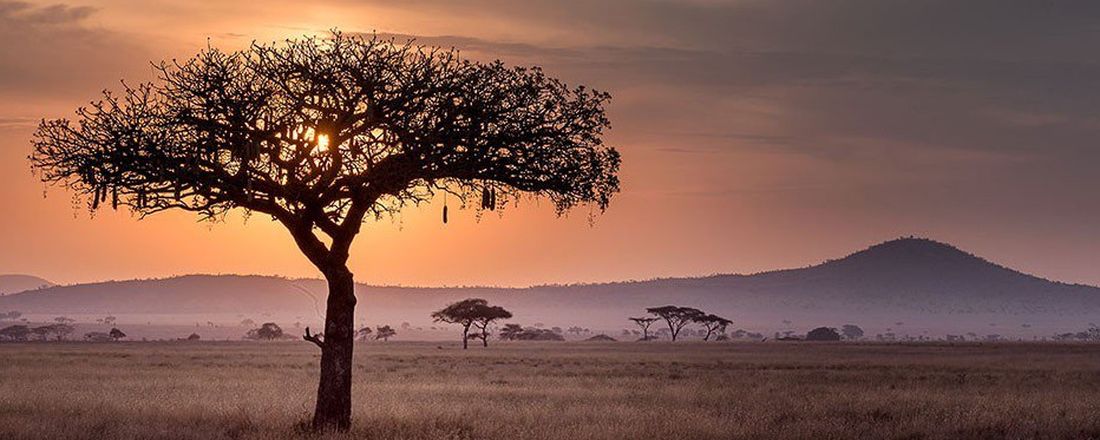 ÁFRICA BRASIL 2020 – 6º ENCONTRO REGIONAL DE LITERATURA, HISTÓRIA E CULTURAS AFRO-BRASILEIRAS E AFRICANAS