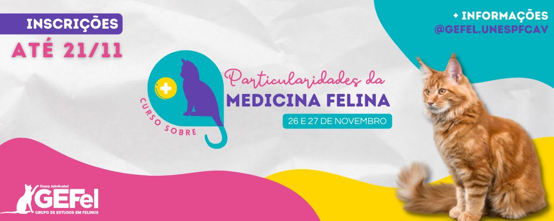 Curso de Particularidades da Medicina Felina