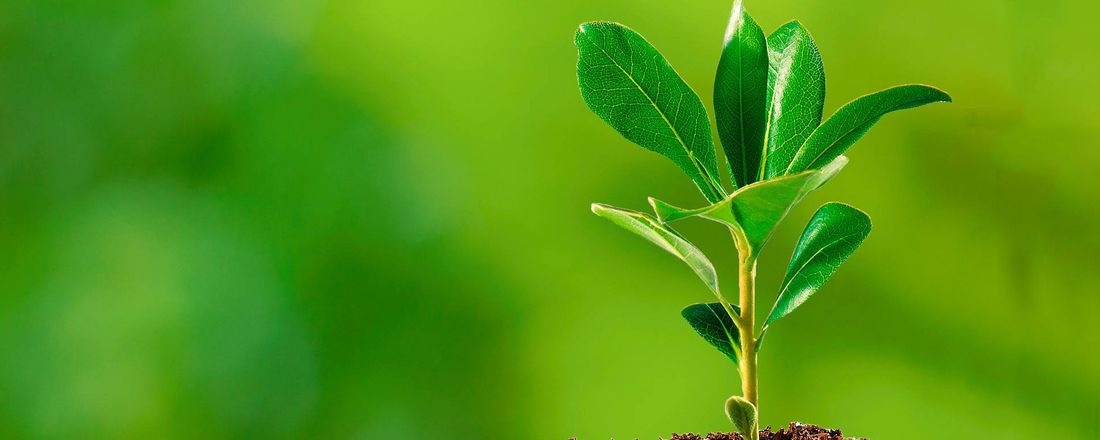 3º Semana de Educação Ambiental Álvaro Adolfo