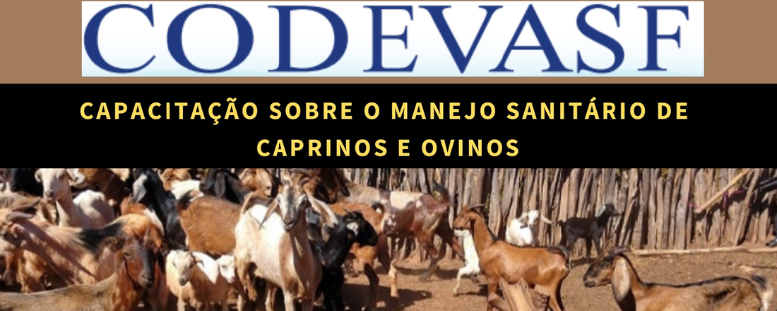 Capacitação Sobre o Manejo Sanitário de Caprinos e Ovinos