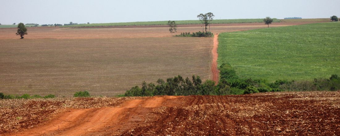 1º Trajetórias dos solos à paisagem