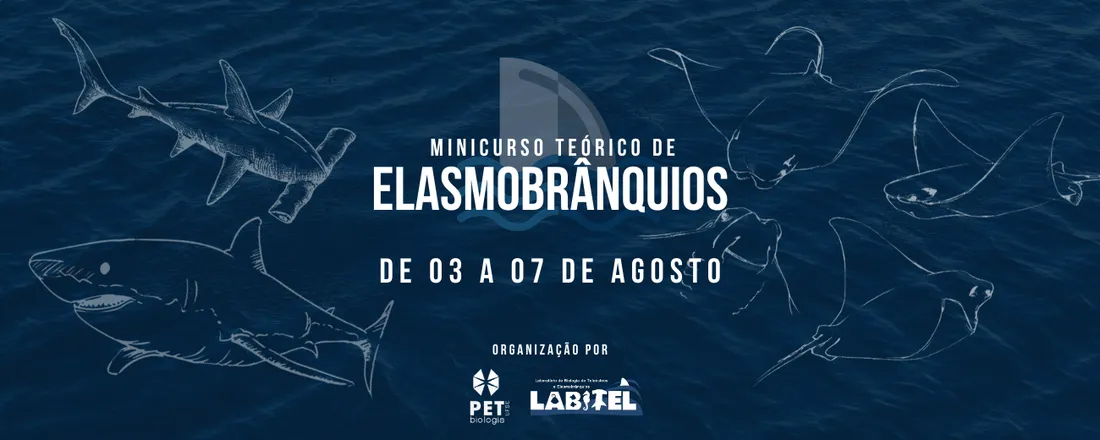 Minicurso Teórico de Elasmobrânquios