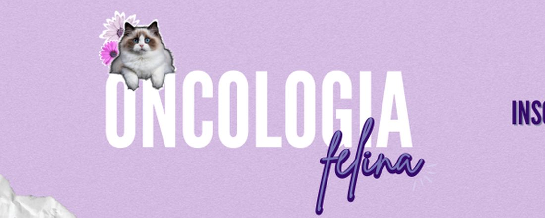 Oncologia felina