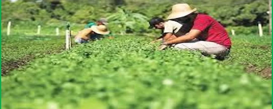 III MOSTRA DE CONTABILIDADE DO AGRONEGÓCIO AMAZÔNICO – FES/UFAM