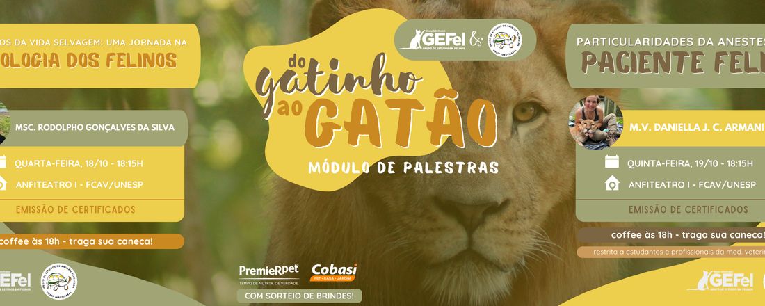 Particularidades da Anestesia do Paciente Felino