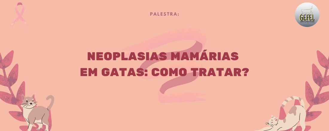 Neoplasias Mamárias em Gatas  - Como Tratar?