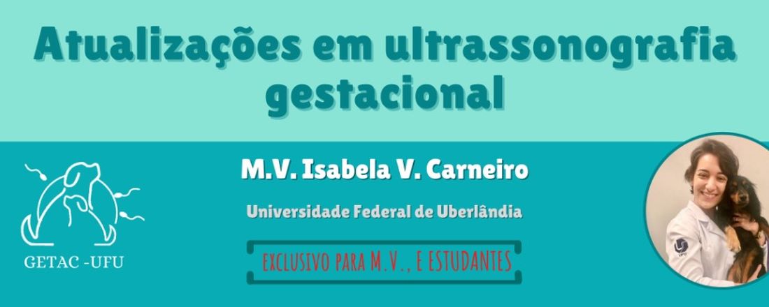Atualizações em ultrassonografia gestacional