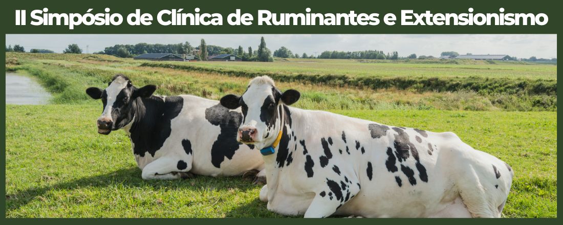 II Simpósio de Clínica de Ruminantes e Extensão