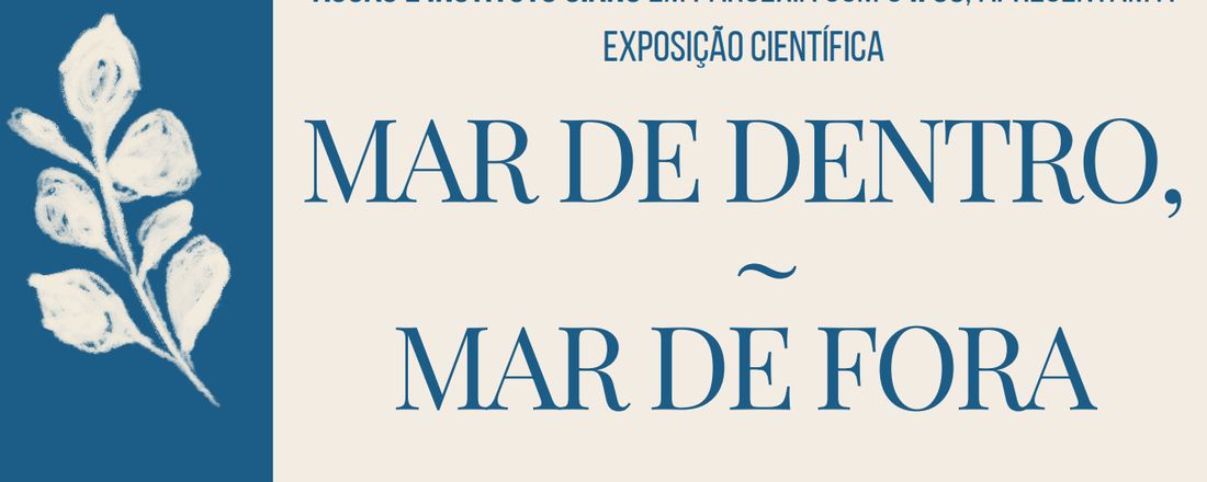 MAR DE DENTRO, MAR DE FORA