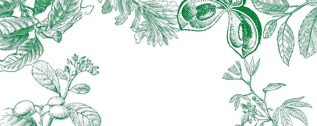 I Simpósio online de plantas alimentícias não convencionais, medicinais e fitoterapia.