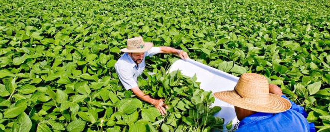 XII Dia de Práticas Agrícolas e IX Dia da Trilha