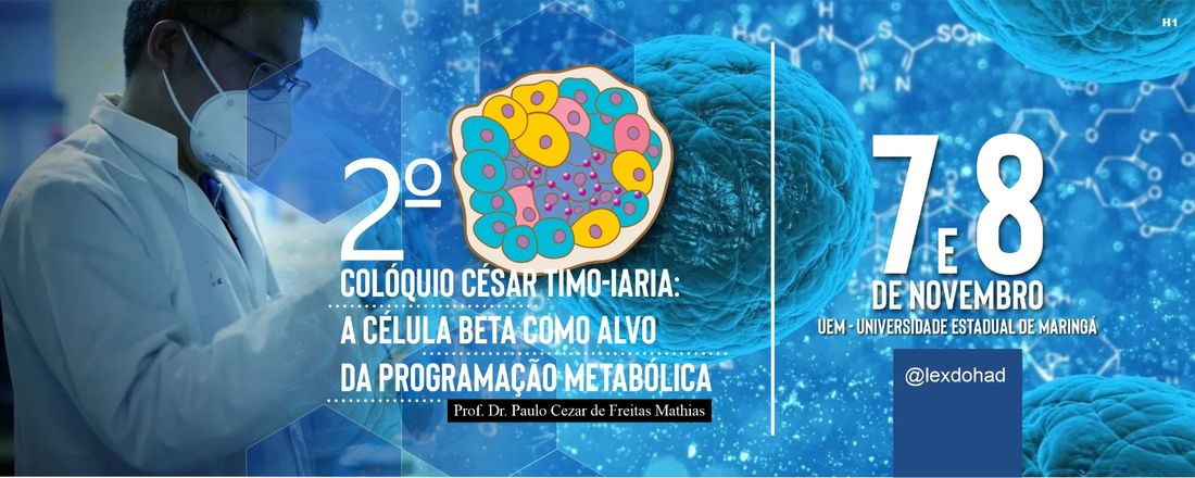 2º Colóquio César Timo-Iaria: a célula beta como alvo da programação metabólica