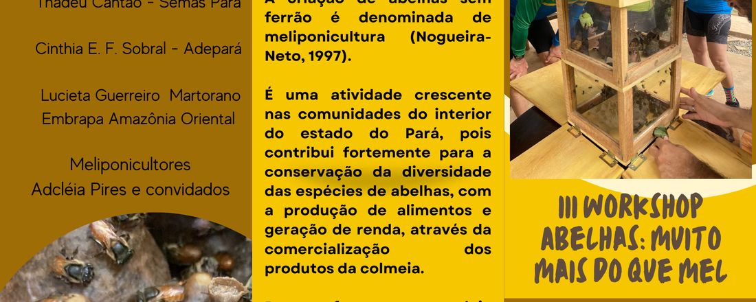 III WORKSHOP: ABELHAS: MUITO MAIS DO QUE MEL