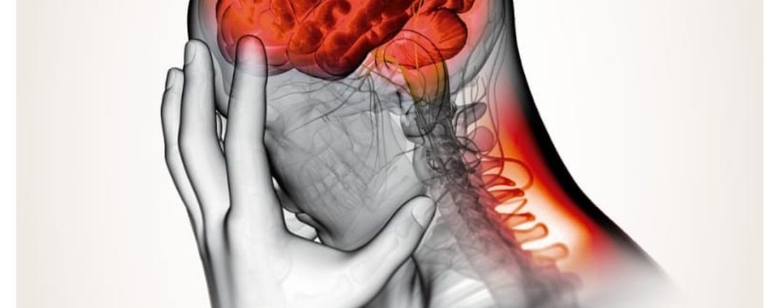 Combate às meningites