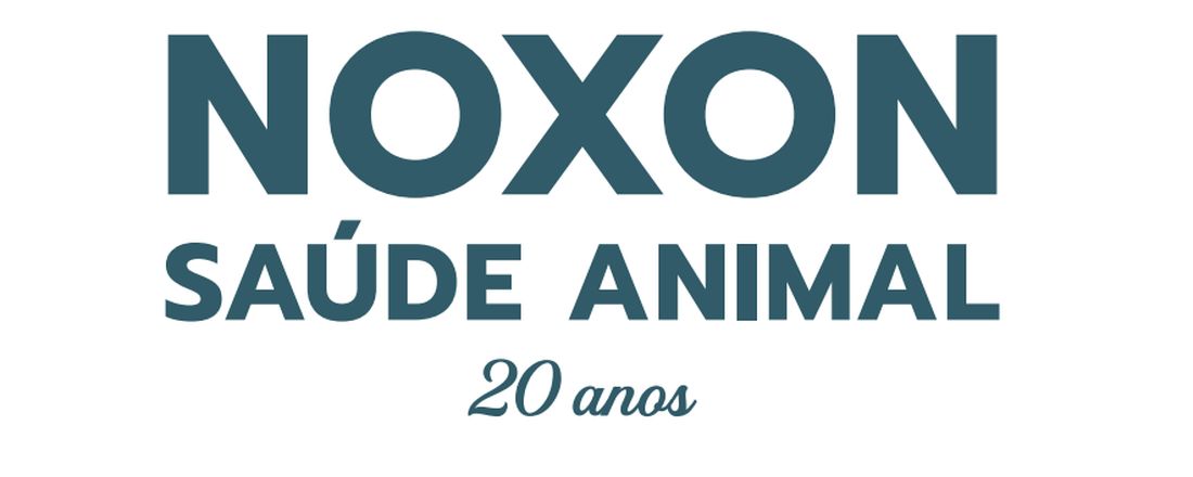 Confraternização 20 anos Noxon