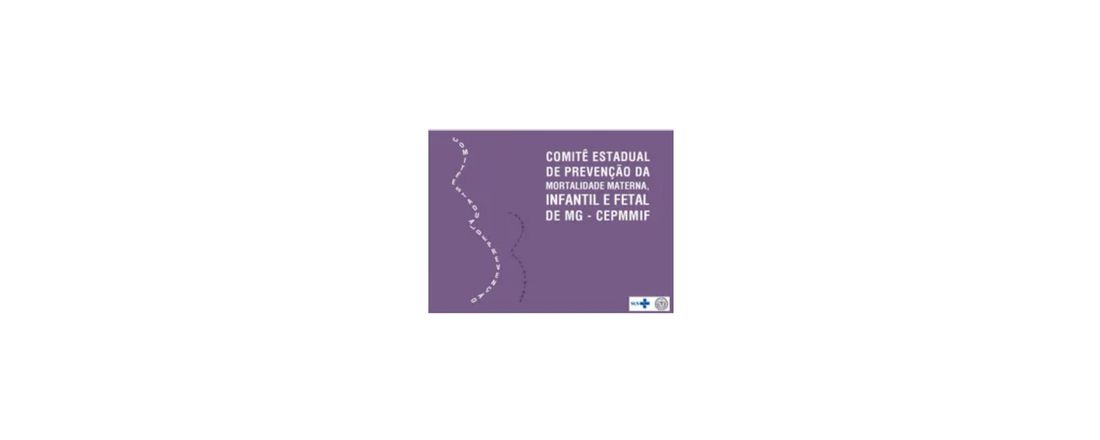 3º Encontro da Formação Continuada para os Comitês de Prevenção à Mortalidade Materna, Infantil e Fetal