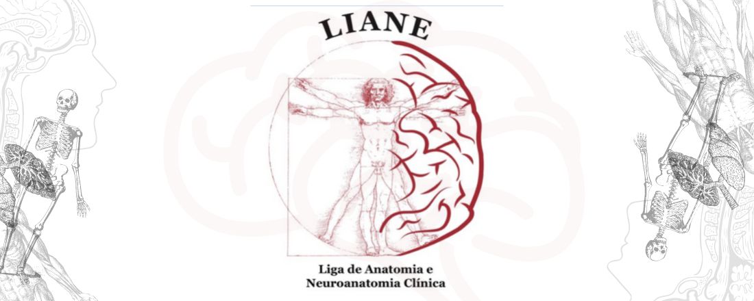 I curso introdutório da liga de anatomia e neuroanatomia