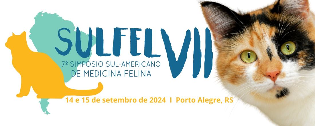VII SULFEL - 2024