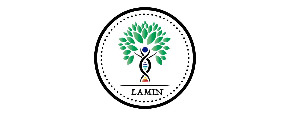 Simpósio de Admissão LAMIn-UFF 2021.1