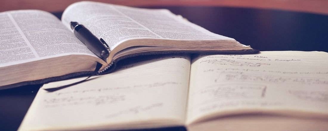 ASPECTOS METODOLOGICOS DO DESENVOLVIMENTO E COMO EVITAR AS FORMAS DE PLÁGIO