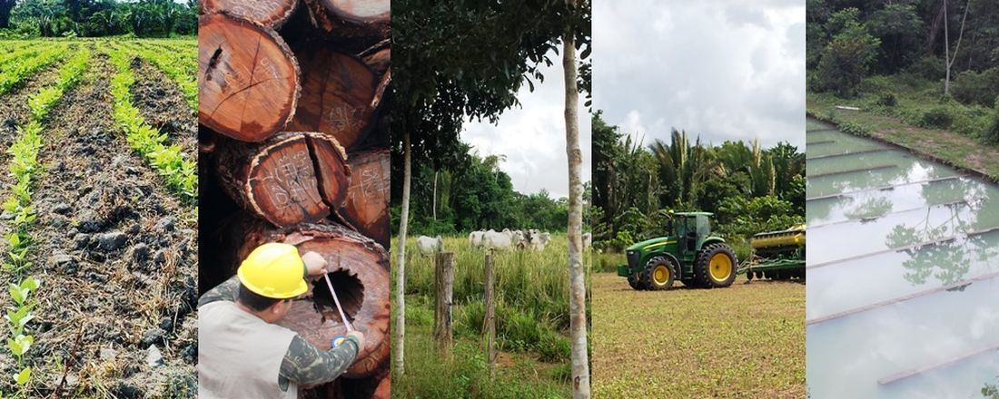 III Simpósio de Ciências Agrárias da Amazônia - III SICAA